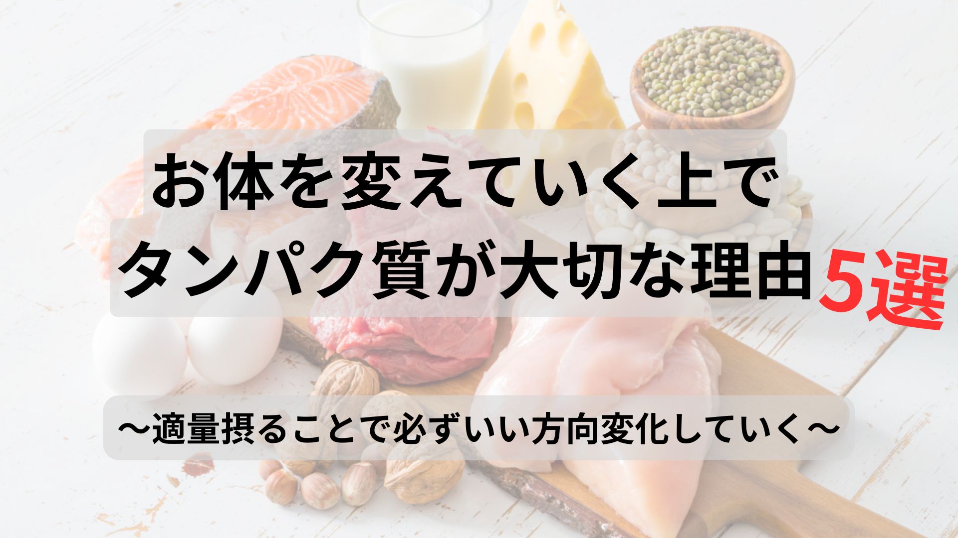タンパク質が体を変える上で大切な理由5選